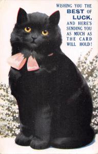 US2639 Wishing you the Best of Luck, Cute Cat Katze black cat lucky cat