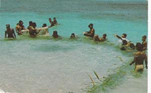 Pacific Ocean - Micronesia - Net Fishing - 1960s