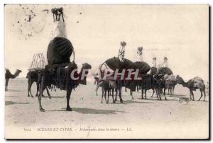Old Postcard Morocco Senes And Types Palanquins daus desert Camel Camel