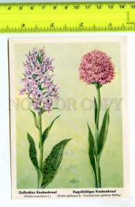 420815 GERMANY flowers orchid Vintage Tobacco Card w/ ADVERTISING