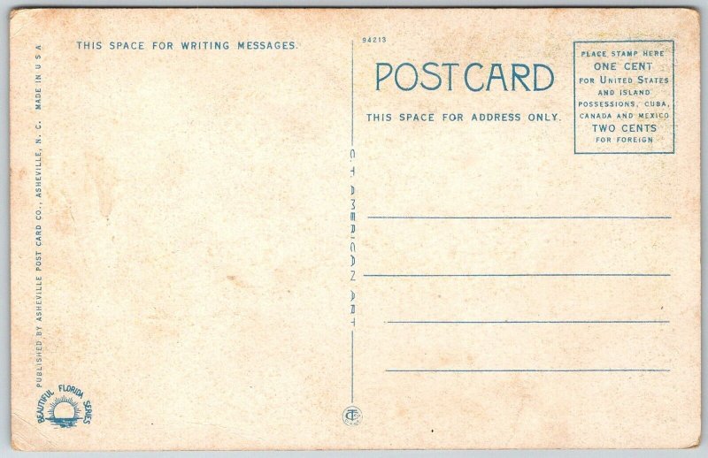 Dixie Highway Florida 1920-30s Postcard Australian Pines Tunnel