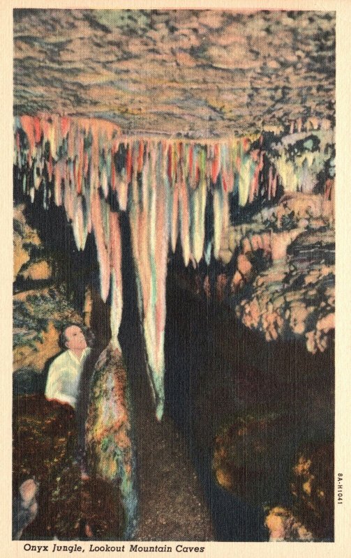 Vintage Postcard 1930's Onyx Jungle Lookout Mts. Cavers Chattanooga Tennessee