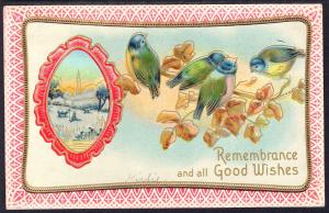 Remembrance and all Good Wishes,Birds,Scene