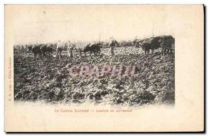 Old Postcard Folklore Labor Cantal in Auvergne