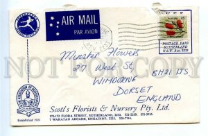 499029 1975 year Australia airmail to England fruit on a stamp COVER