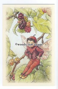 ch0226 - The Mulberry Fairy, Artist - Cicely Mary Barker- modern postcard