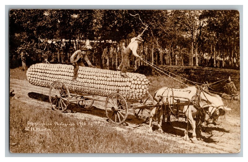 1911 Postcard Farmers Ride Exaggerated Corn Cobb Vintage Standard View RPPC 