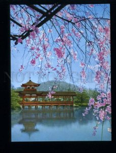 210163 JAPAN KYOTO Heian Shrine in spring Cherry blossoms old postcard