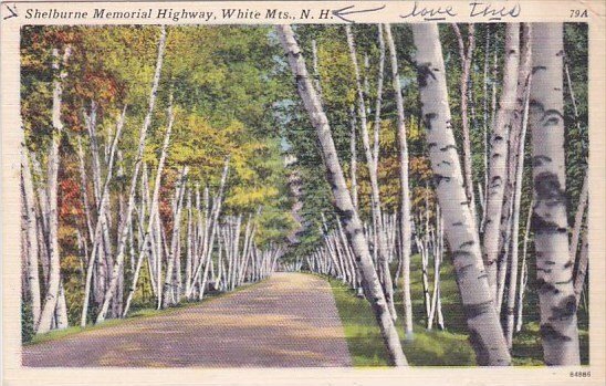 New Hampshire White Mountains Shelburne Memorial Highway 1965