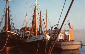 FL - Key West. Shrimp Boats