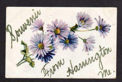 ME Souvenir from HARRINGTON MAINE Postcard PC Daisies