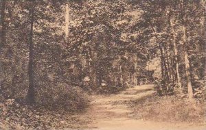 North Carolina Greensboro Entrance To Peabody Park Univ Of North Carolina Alb...