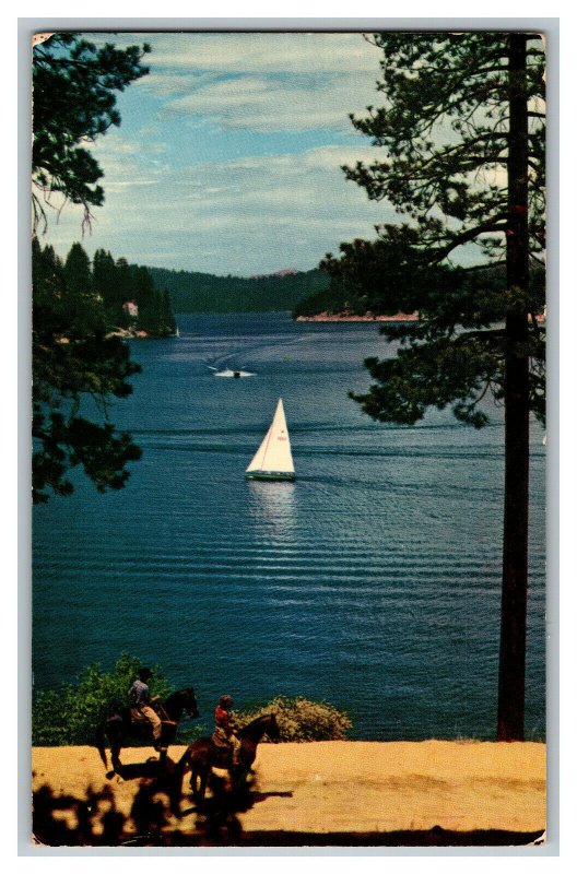 Postcard Lake Arrowhead California Sailboat Horseback Vintage Standard View Card 