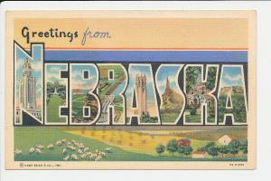 NE LN Nebraska Greetings from BIG LETTER