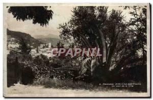 Old Postcard Grasse Cite des Fleurs A corner of the city