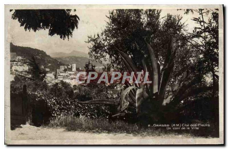 Old Postcard Grasse Cite des Fleurs A corner of the city