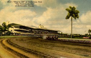 FL - Hallandale. Gulfstream Park, Horse Racing