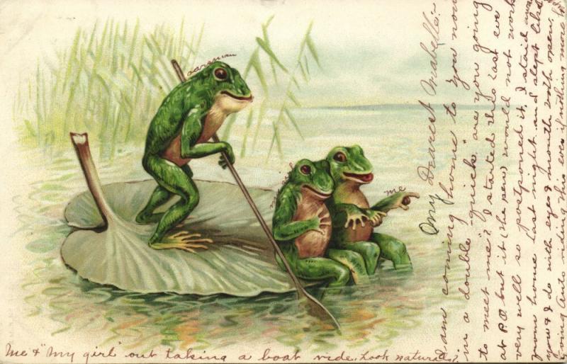 Frogs enjoying Waterlily Boat Ride (1907)