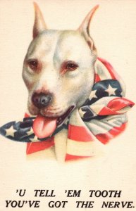 WWI American Pit Bull Terrier Dog Postcard