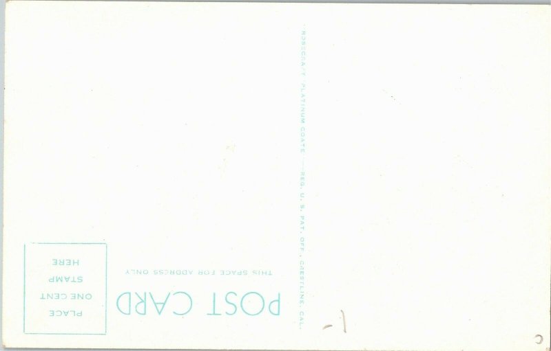 Lake Gregory, San Bernardino Mountains, CA Vintage Postcard A07