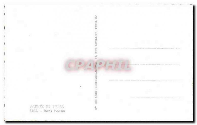 Old Postcard Scenes And Types A well achaladee Camel Camel shop