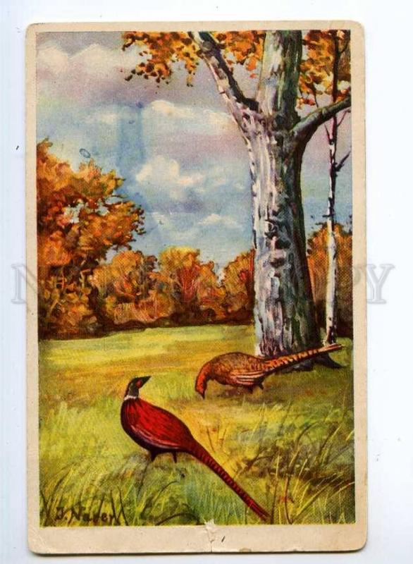 245420 Autumn HUNT pheasant Birds by NARER Vintage PC