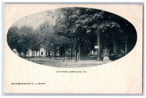 c1905 View Of City Park Trees North East Pennsylvania PA Antique Postcard 