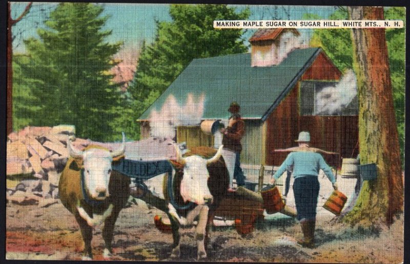 New Hampshire Making Maple Sugar on Sugar Hill White Mountains with Oxen LINEN