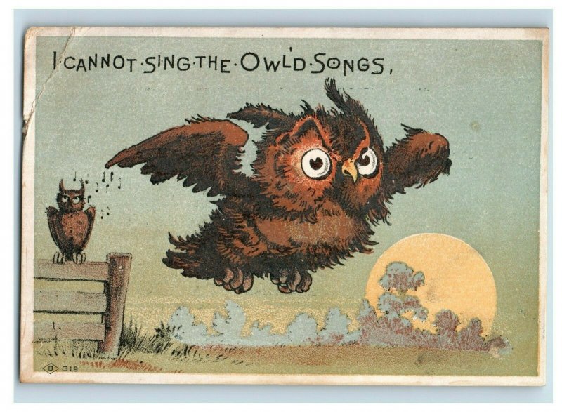 1880's Owl Owls F.C. Lord Castilian Cream Paint Remover Set Of 3 Trade Cards P96