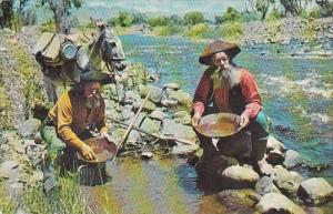 Panning For Gold In California