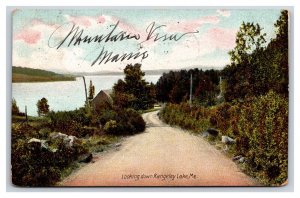 Road to Rangely Lake Maine ME DB Postcard Y7