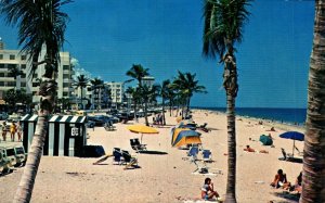 USA Fort Lauderdale Tropical Beach Florida Chrome Postcard 08.67