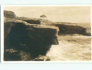 Old rppc NATURE SCENE Great Postcard AB0468