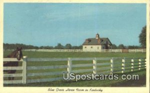 Blue Grass Horse Farm - Lexington, Kentucky KY  