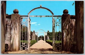 Vtg Monticello Illinois IL Maze Garden Entrance Robert Allerton Park Postcard