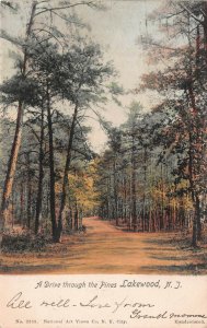 A Drive Through the Pines, Lakewood, N.J., 1904 Hand Colored Postcard, Used