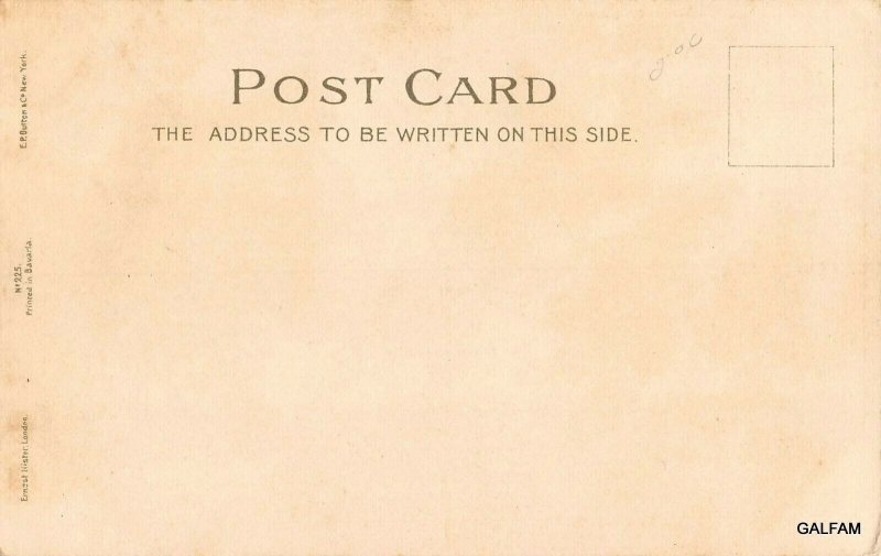 Sheltie collie with holly c1910 Christmas postcard AH106