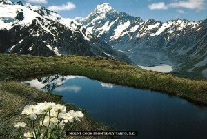 Mount Cook,From Sealy Tarns,New Zealand