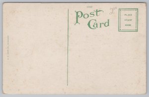 St Petersburg Florida~Arlington Terrace Bungalows~Vintage Postcard