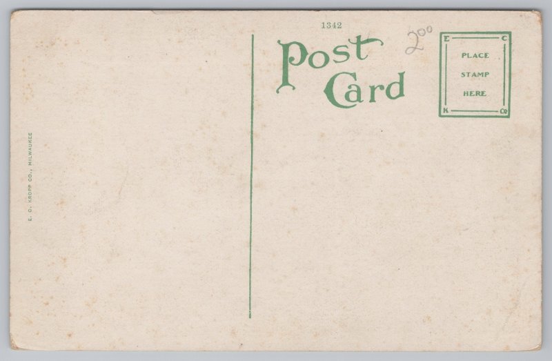 St Petersburg Florida~Arlington Terrace Bungalows~Vintage Postcard