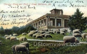 Mansion House, Flock of Sheep - Baltimore, Maryland MD Postcard