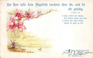 BG4579 neujahr new year windmill flower   germany greetings