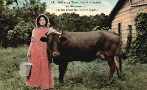 Vintage Postcard Milking Time Good Friends in Wisconsin Scene Along Country Road