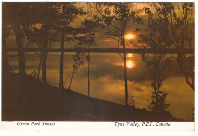 Sunset, Green Park, Tyne Valley, Prince Edward Island, 1975 Chrome Postcard