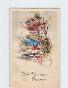 M-150562 Birds Art Print With Christmas Greetings