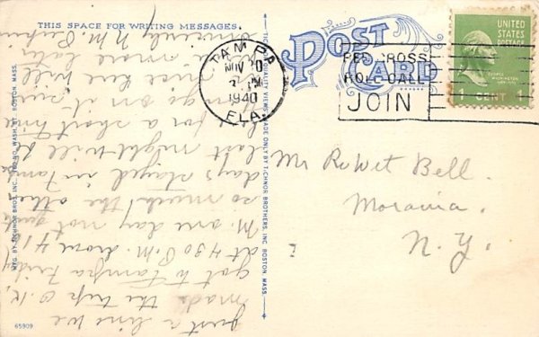 Greetings from Tampa, FL, USA Florida  