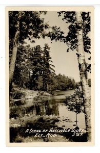 MN - Ely. Basswood Lodge Shoreline Scene  RPPC