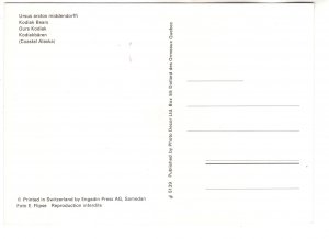 Kodiak Bears, Alaska, Penguins