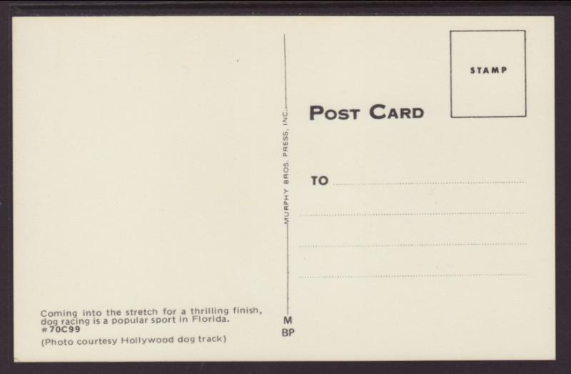 Greyhound Racing,Florida