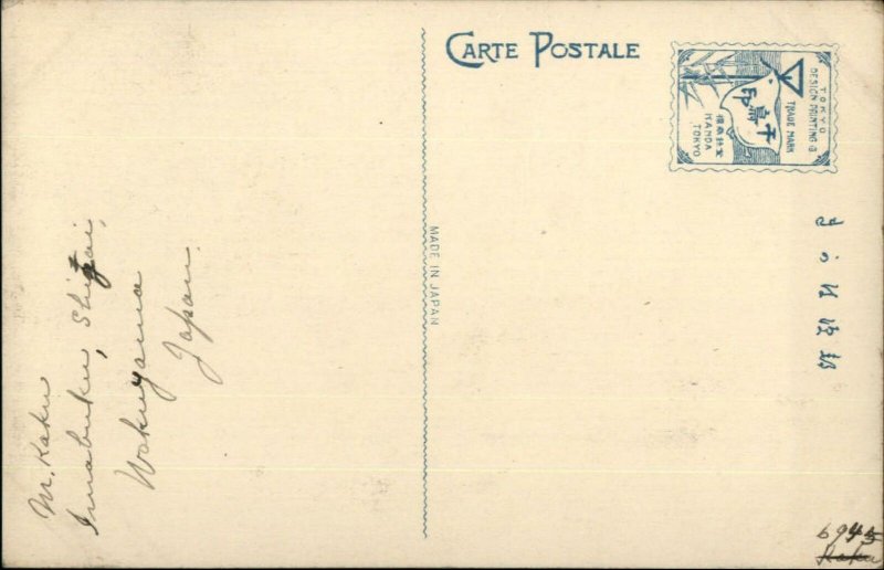 Japan Japanese Flower Art c1910 Postcard - Hand Colored Painted? #3